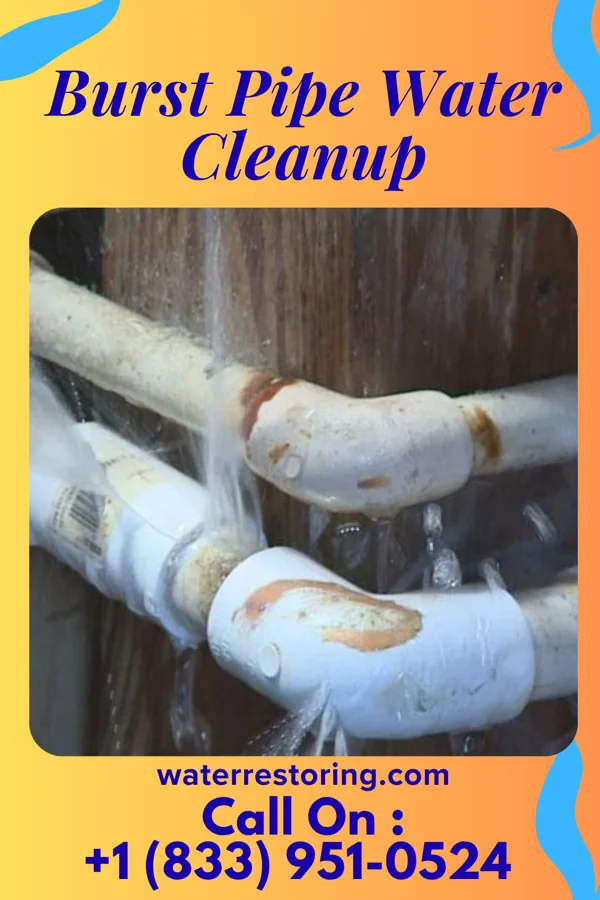 Burst Pipe Water Cleanup in Almond, WI