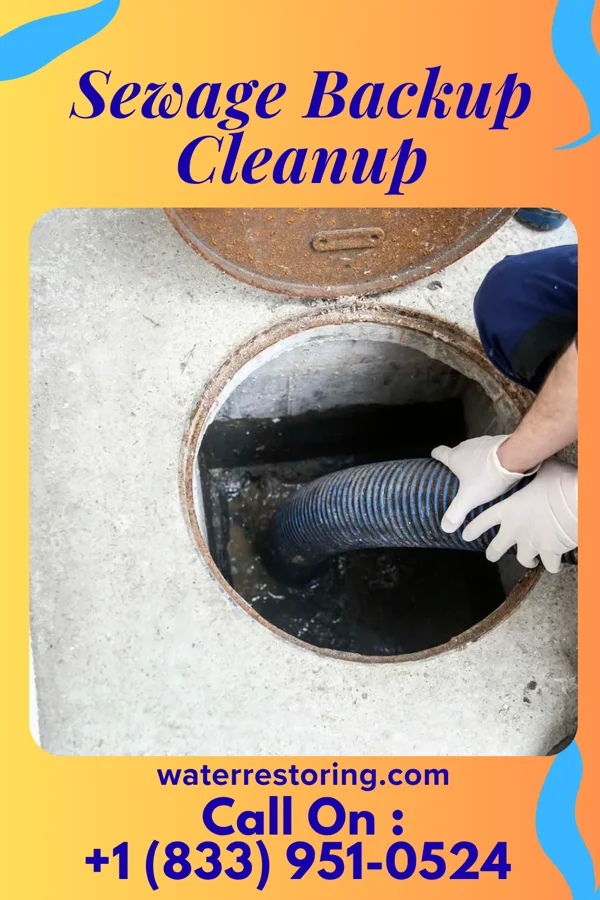 Sewage Backup Cleanup in Almond, WI