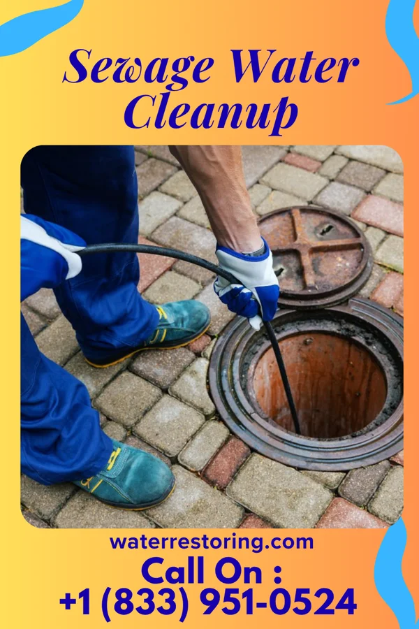 Sewage Water Cleanup in Almond, WI